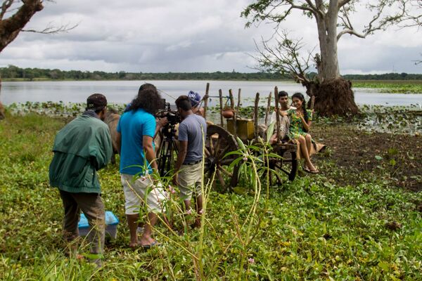 Animation & Graphics Image