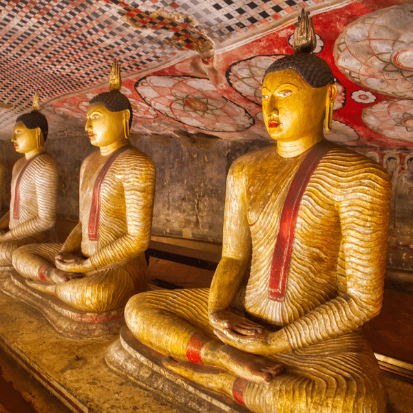 Animation & Graphics