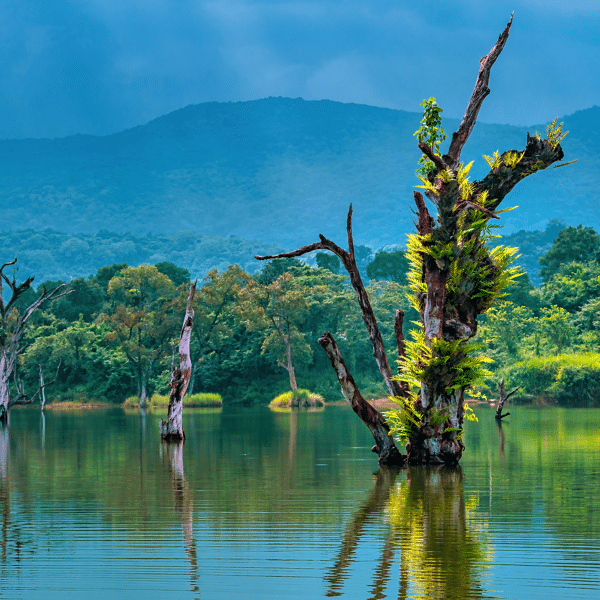 Customized Solutions