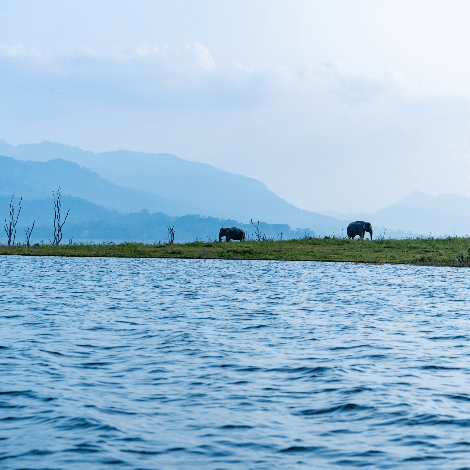 Customized Solutions for Clients