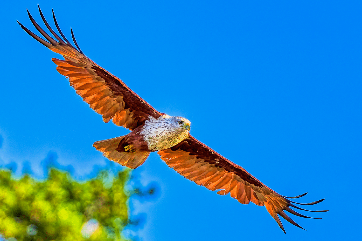 Stunning Photography Services