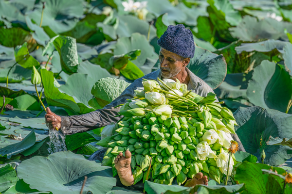 Animation & Graphics Image