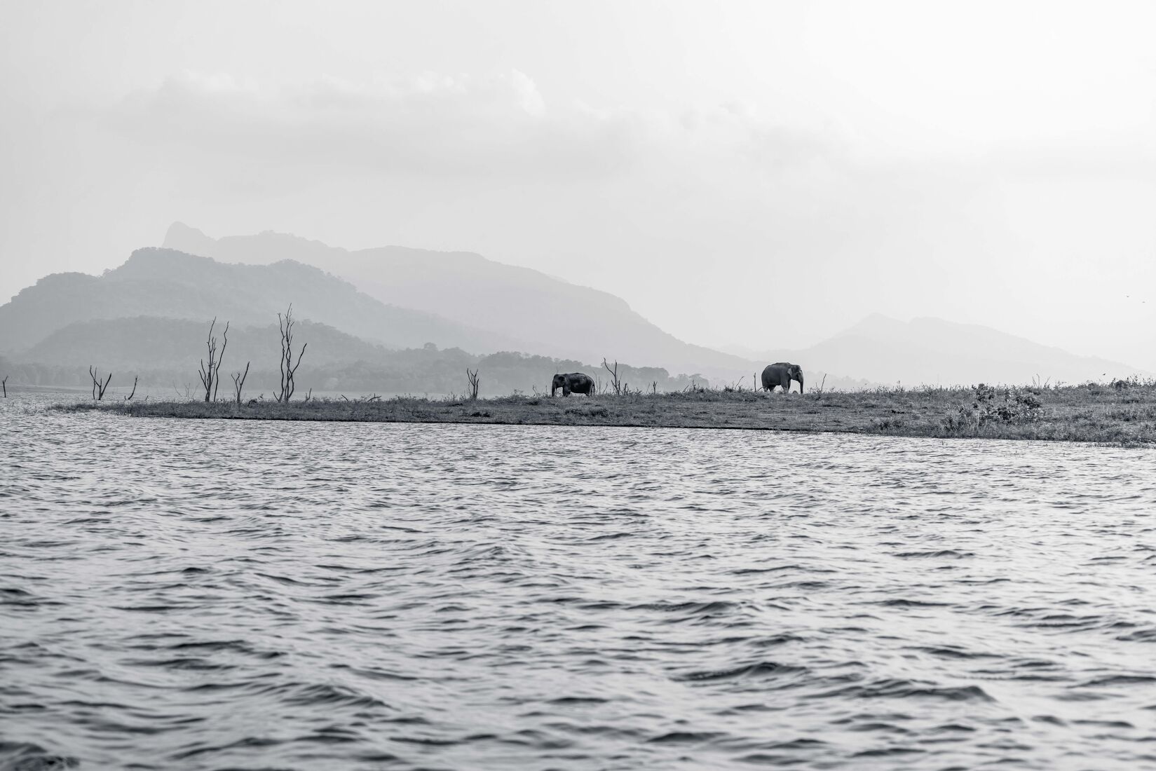 Black & White Fine Art